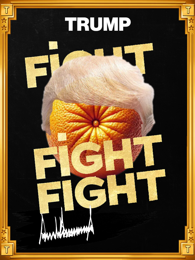 Trump Fight Card